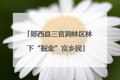 郧西县三官洞林区林下“掘金”富乡民