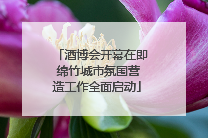 酒博会开幕在即 绵竹城市氛围营造工作全面启动
