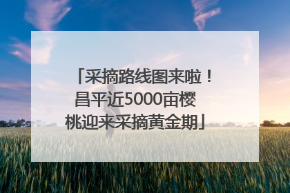 采摘路线图来啦！昌平近5000亩樱桃迎来采摘黄金期