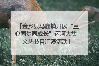 金乡县马庙镇开展“童心同梦同成长”运河大集文艺节目汇演活动