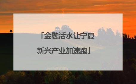 金融活水让宁夏新兴产业加速跑