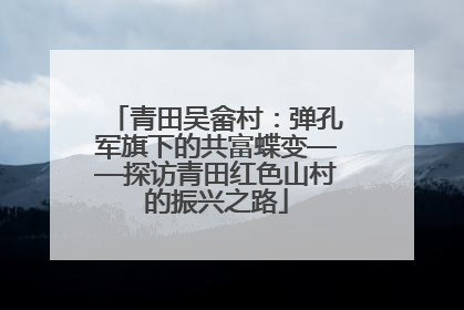 青田吴畲村：弹孔军旗下的共富蝶变——探访青田红色山村的振兴之路