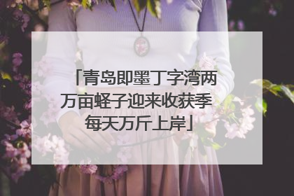 青岛即墨丁字湾两万亩蛏子迎来收获季 每天万斤上岸