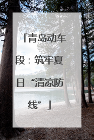 青岛动车段：筑牢夏日“清凉防线”
