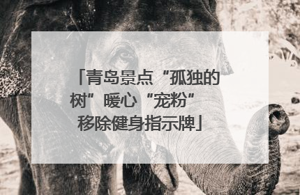 青岛景点“孤独的树”暖心“宠粉” 移除健身指示牌