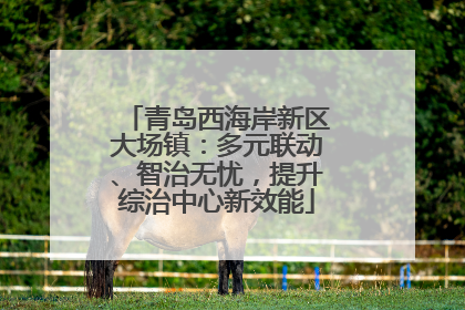 青岛西海岸新区大场镇：多元联动、智治无忧，提升综治中心新效能