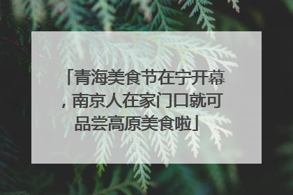 青海美食节在宁开幕，南京人在家门口就可品尝高原美食啦