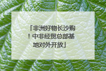 非洲好物长沙购！中非经贸总部基地对外开放