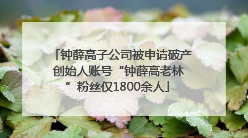 钟薛高子公司被申请破产 创始人账号“钟薛高老林”粉丝仅1800余人