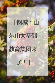 钢城：山东山大基础教育集团来了！
