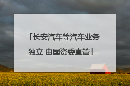 长安汽车等汽车业务独立 由国资委直管