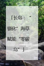 长岛：“驯化”海草赋能“零碳岛”