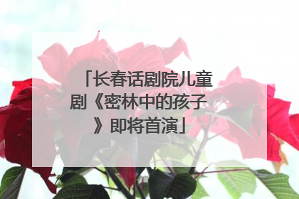 长春话剧院儿童剧《密林中的孩子》即将首演