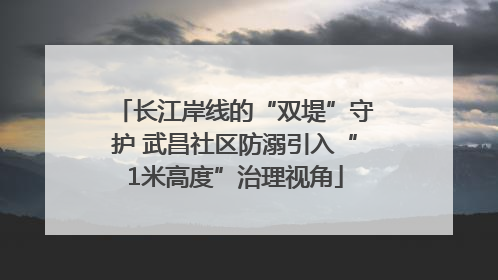 长江岸线的“双堤”守护 武昌社区防溺引入“1米高度”治理视角