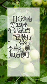 长沙南等19座车站试点“轻装行”，带行李出行更加方便