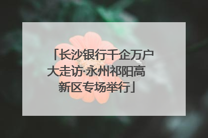 长沙银行千企万户大走访·永州祁阳高新区专场举行