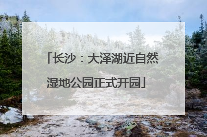 长沙：大泽湖近自然湿地公园正式开园