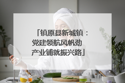 镇原县新城镇：党建领航风帆劲 产业铺就振兴路