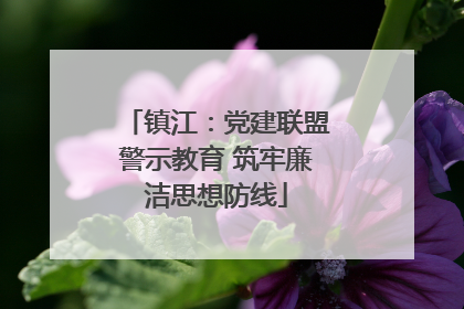 镇江：党建联盟警示教育 筑牢廉洁思想防线