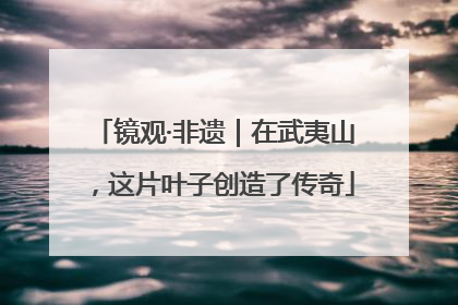 镜观·非遗｜在武夷山，这片叶子创造了传奇