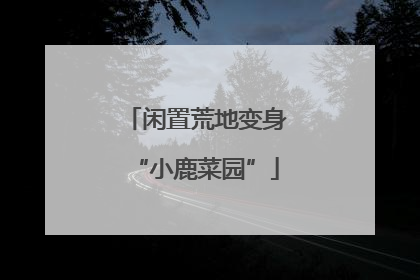 闲置荒地变身“小鹿菜园”