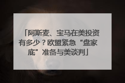 阿斯麦、宝马在美投资有多少？欧盟紧急“盘家底”准备与美谈判