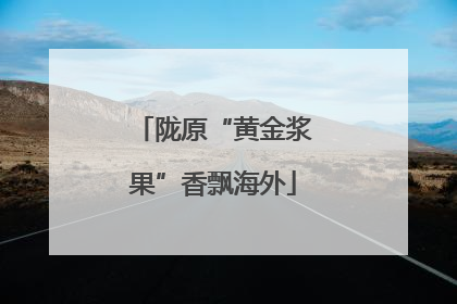 陇原“黄金浆果”香飘海外