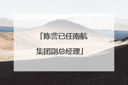 陈詟已任南航集团副总经理