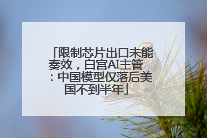 限制芯片出口未能奏效，白宫AI主管：中国模型仅落后美国不到半年