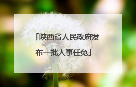 陕西省人民政府发布一批人事任免