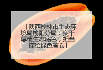 陕西榆林市生态环境局榆阳分局：实干厚植生态底色，担当描绘绿色答卷