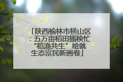 陕西榆林市横山区：五万亩稻田插秧忙 “稻渔共生”绘就生态富民新画卷