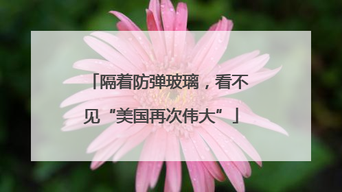 隔着防弹玻璃，看不见“美国再次伟大”