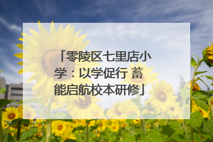 零陵区七里店小学：以学促行 蓄能启航校本研修