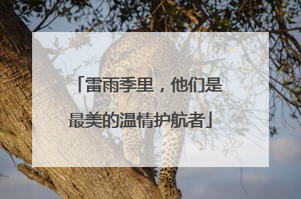 雷雨季里，他们是最美的温情护航者