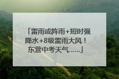 雷雨或阵雨+短时强降水+8级雷雨大风！东营中考天气……