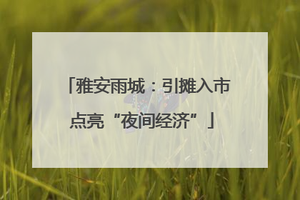 雅安雨城：引摊入市 点亮“夜间经济”