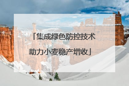 集成绿色防控技术助力小麦稳产增收
