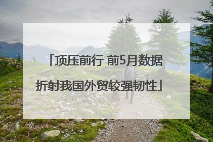 顶压前行 前5月数据折射我国外贸较强韧性