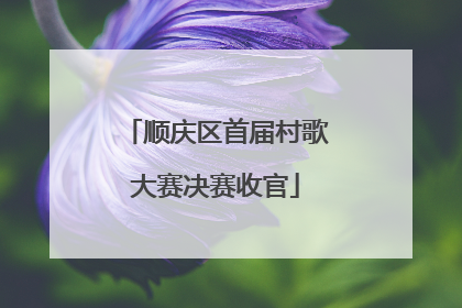 顺庆区首届村歌大赛决赛收官