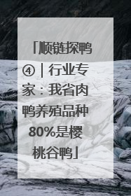 顺链探鸭④｜行业专家：我省肉鸭养殖品种80%是樱桃谷鸭