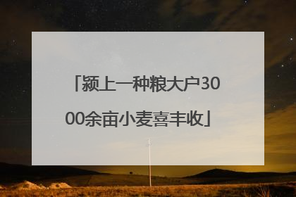 颍上一种粮大户3000余亩小麦喜丰收