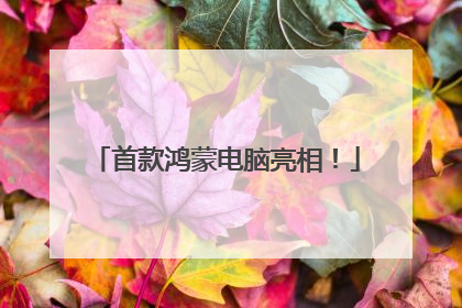 首款鸿蒙电脑亮相！