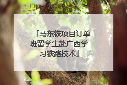 马东铁项目订单班留学生赴广西学习铁路技术