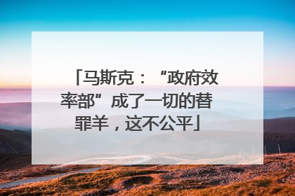 马斯克：“政府效率部”成了一切的替罪羊，这不公平