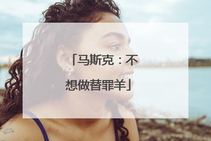 马斯克：不想做替罪羊