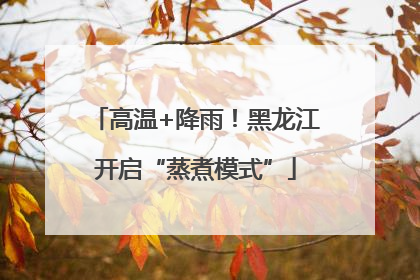 高温+降雨！黑龙江开启“蒸煮模式”