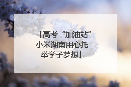 高考“加油站” 小米湖南用心托举学子梦想