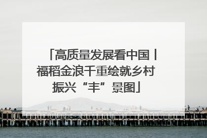 高质量发展看中国丨福稻金浪千重绘就乡村振兴“丰”景图