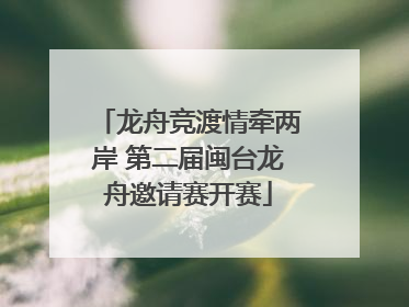 龙舟竞渡情牵两岸 第二届闽台龙舟邀请赛开赛